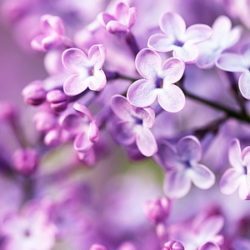 От невидимого к видимому