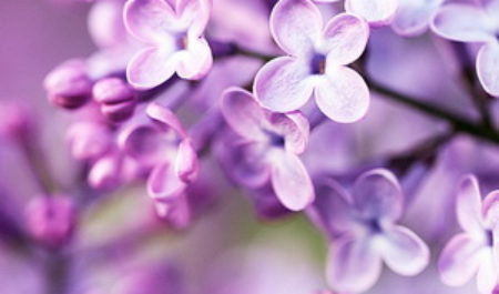 От невидимого к видимому