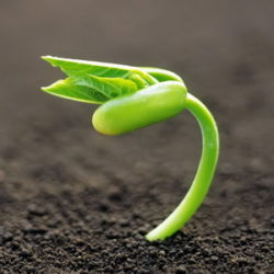 Новые возможности для успеха