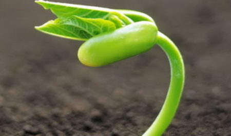 Новые возможности для успеха