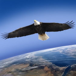 Зачем тебе лидерство?