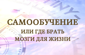 Самообучение. Или где брать мозги для жизни