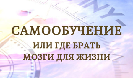 Самообучение. Или где брать мозги для жизни